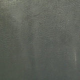 Crocodile Skin