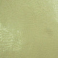 Crocodile Skin
