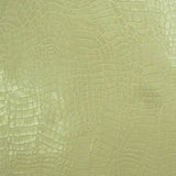 Crocodile Skin