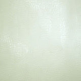 Crocodile Skin