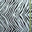 Zebra Print