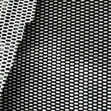 Wonder Mesh