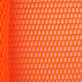 Wonder Mesh