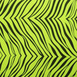 Zebra Print
